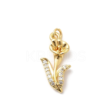 Brass Micro Pave Cubic Zirconia Pendants KK-Z135-01G-02-1