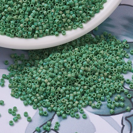 MIYUKI Delica Beads SEED-X0054-DB0877-1