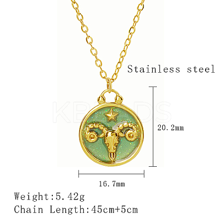 304 Stainless Steel Enamel Constellation Pendant Necklaces LS-DJ0261-2-1-1