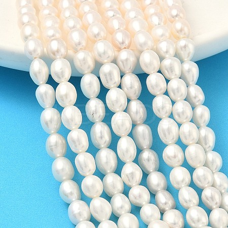 Natural Cultured Freshwater Pearl Beads Strands PEAR-D003-01D-15-1