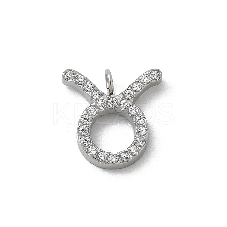 304 Stainless Steel Micro Pave Cubic Zirconia Charms STAS-Z107-09P-03-1