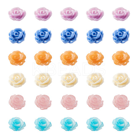 60Pcs 6 Colors Rose Shell Beads BSHE-CW0001-01-1