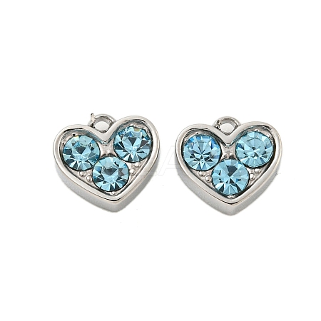 304 Stainless Steel Pendants STAS-L080-001P-02-1