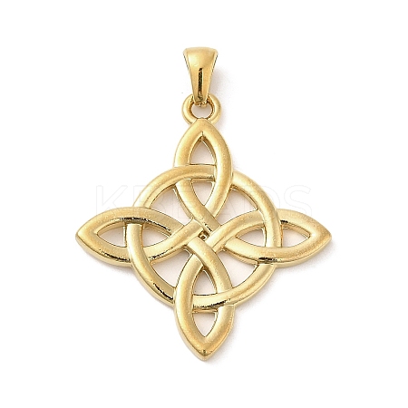 304 Stainless Steel Pendants STAS-D015-02B-G-1