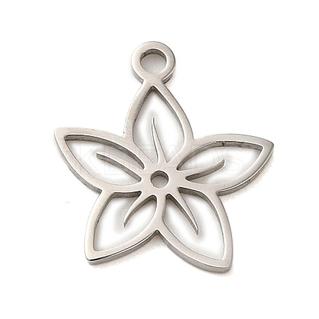 Non-Tarnish 304 Stainless Steel Charms STAS-S123-01P-09-1