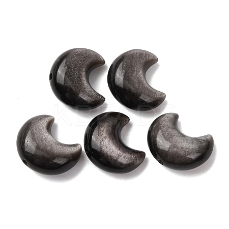 Natural Silver Obsidian Beads G-A310-02-1