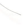 Dead Soft 925 Sterling Silver Wire STER-NH004-A-3