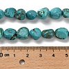 Natural Turquoise Beads Strands X-G-P497-01E-91-5