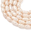 Natural Cultured Freshwater Pearl Beads Strands PEAR-D003-01D-16-4