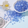 6/0 Glass Seed Beads SEED-YW0001-25G-5