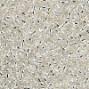 8/0 Glass Seed Beads X2-SEED-A005-3mm-21-2