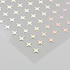 Laser PET Plasitc Stickers DIY-WH20011-43E-2