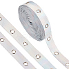 9 Yards Imitation Leather Ribbon with Platinum Plated Alloy Eyelets OCOR-AR0001-64B-1