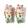 Hand-Painted Porcelain Beads X-PORC-R001-01F-1