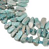 Natural Amazonite Beads Strands G-P619-A04-01-4