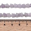 Natural Lepidolite/Purple Mica Stone Beads Strands G-B138-C18-01-5