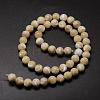 Natural Sea Shell Round Bead Strands X-SSHEL-M013-8mm-02-3