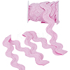 10 Yards Polyester Lace Ribbon OCOR-GF0006-01-8