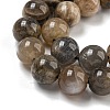 Natural Black Moonstone Beads Strands G-Q183-A01-02-4