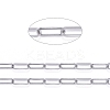 3.28 Feet 304 Stainless Steel Paperclip Chains X-CHS-F011-01A--P-1