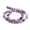 Natural Lepidolite/Purple Mica Stone Beads Strands G-K415-10mm-7