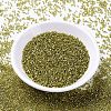 MIYUKI Delica Beads SEED-MY11-DB2164-2
