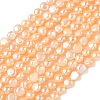 Natural Cultured Freshwater Pearl Beads Strands PEAR-C004-21B-2