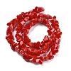 Opaque Color Glass Beads Strands EGLA-L045-I-B02-2