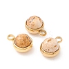 Natural Picture Jasper Charms G-K325-01G-06-1