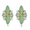 Hot Fashion Exaggerated Style Earrings EJEW-BB31829-B-1