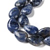 Natural Sodalite Beads Strands G-K357-A01-01-4