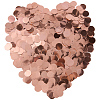 100G PE Paillette/Sequin Confetti DIY-SP0005-41E-1