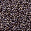 TOHO Round Seed Beads SEED-JPTR11-0166BF-2