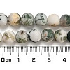 Natural Tree Agate Frosted Agate Round Gemstone Beads Strands X-G-O151-01-8mm-3