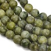 Natural Taiwan Jade Beads Strands X-GSR032-6