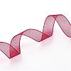 Organza Ribbon RS10mmY-033-2