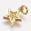 Brass Micro Pave Cubic Zirconia Charms LS-ZIRC-G087-35G-2