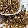 Glass Seed Beads SEED-K009-10B-02-1