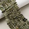 Natural Green Quartz Beads Strands G-L649-C03-01-1