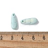 Natural Rainbow Alashan Agate Charms G-G194-05-4