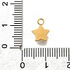 304 Stainless Steel Pave Cubic Zirconia Charms STAS-D310-07G-03-3