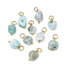 Natural Larimar Pendants PALLOY-JF05952-1