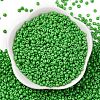 8/0 Baking Paint Glass Seed Beads SEED-M012-02A-39-2