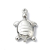Anti-Tarnish 304 Stainless Steel Pendants STAS-L022-440P-01-1