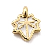 Brass Enamel Charms KK-P338-30G-03-1