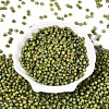 Picasso Glass Seed Beads SEED-N012-04C-2
