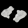 Natural Quartz Crystal Carved Dog Figurines DJEW-L023-A03-2