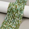 Natural Chrysoprase Beads Strands G-M389-22-1