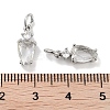 Brass Micro Pave Cubic Zirconia Charms KK-C051-09P-04-3