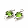 304 Stainless Steel with Glass Connector Charms STAS-G305-08P-01-2